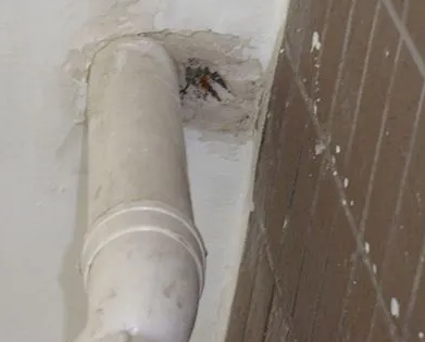 抚顺市漏水检测哪家好